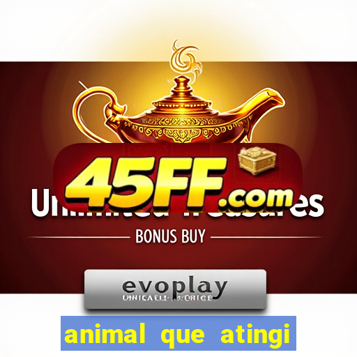 animal que atingi 230 decibeis